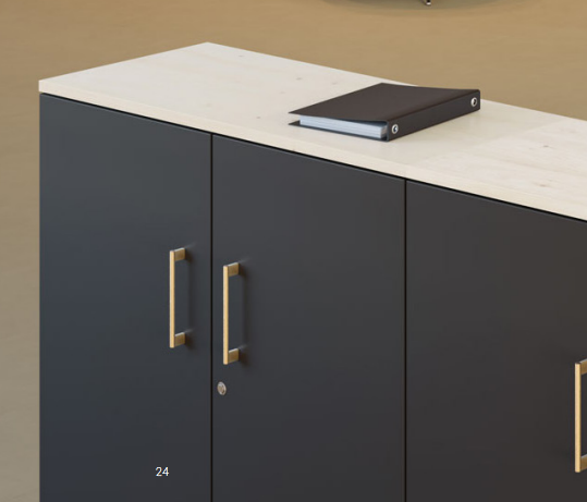 Desserte portes battantes bois / acier Mobimetal