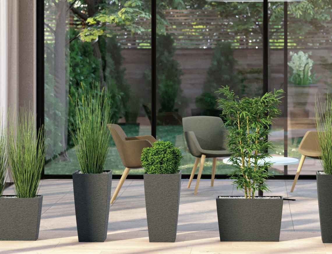 Pick up - Plantes - Columbia
