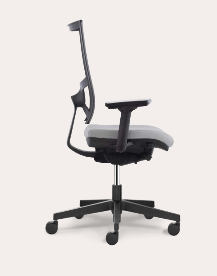 Siège - Dorsalis + - Siège ergonomique - Columbia