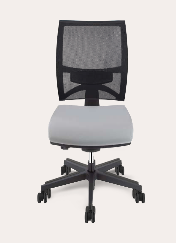 Siège - Dorsalis + - Siège ergonomique - Columbia