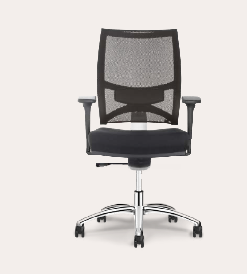 Siège - Dorsalis + - Siège ergonomique - Columbia
