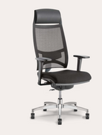 Siège - Dorsalis + - Siège ergonomique - Columbia