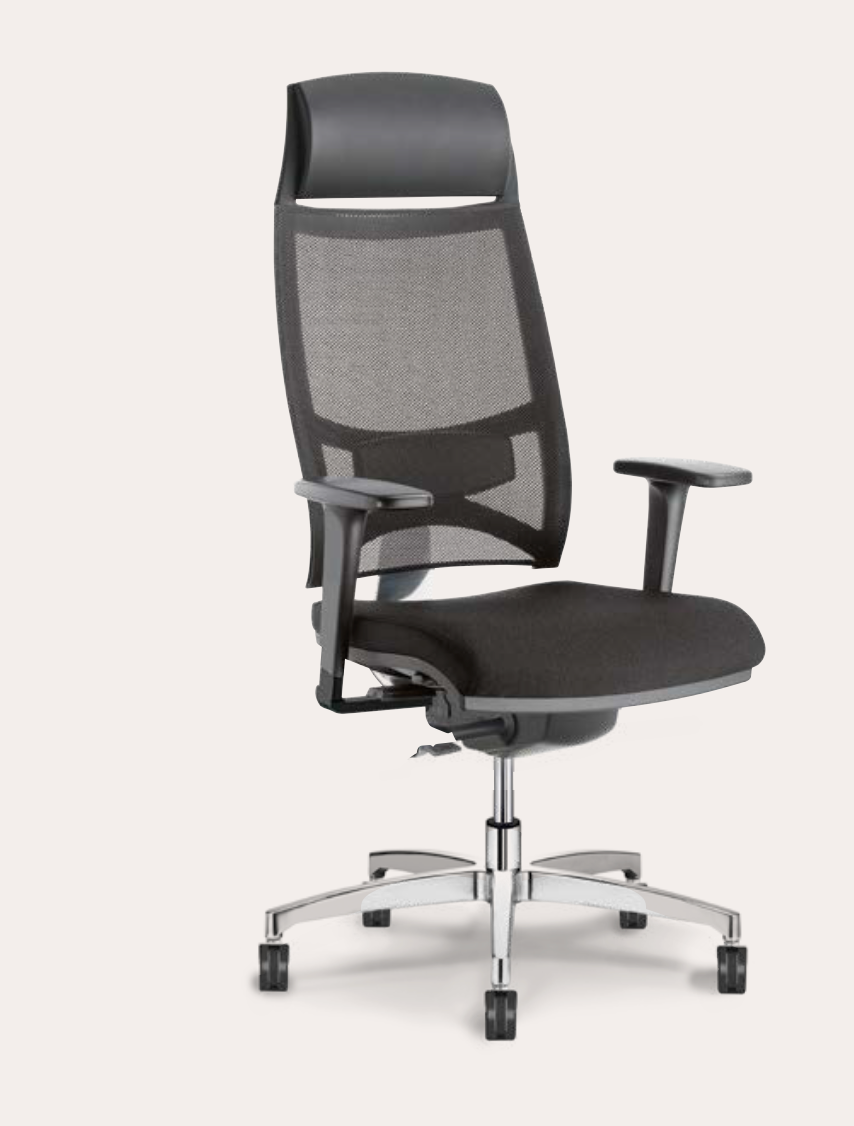 Siège - Dorsalis + - Siège ergonomique - Columbia
