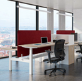 Envol Evo - Bureau à réglage électrique - Buronomic
