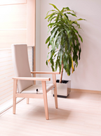 Collection Madison - Senior Care