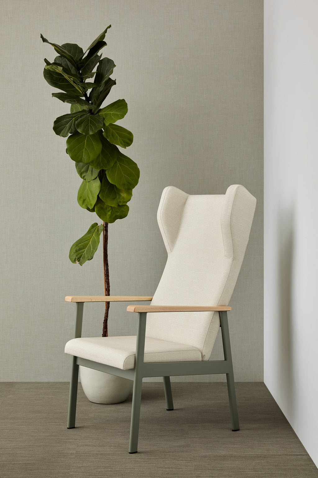 Collection Rodas - Senior Care