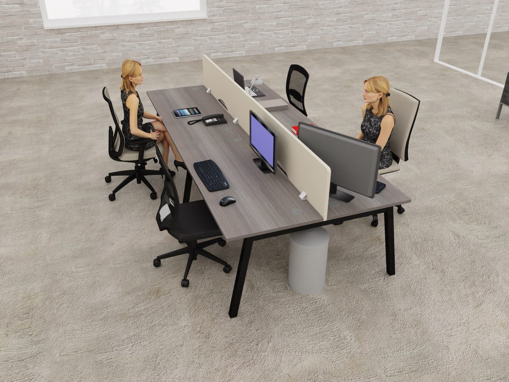 Groupe PARTAGE – vue 13